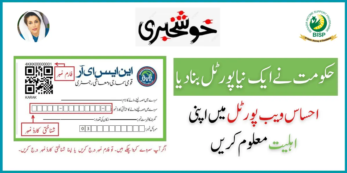 Ehsaas 8171 Web Portal - Ehsaas Nadra PK 8171 2023