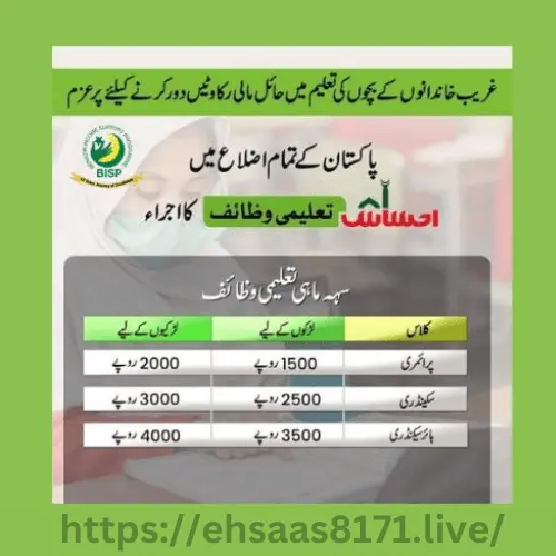 Benazir Taleemi Wazaif Mobile App Online Registration 2024