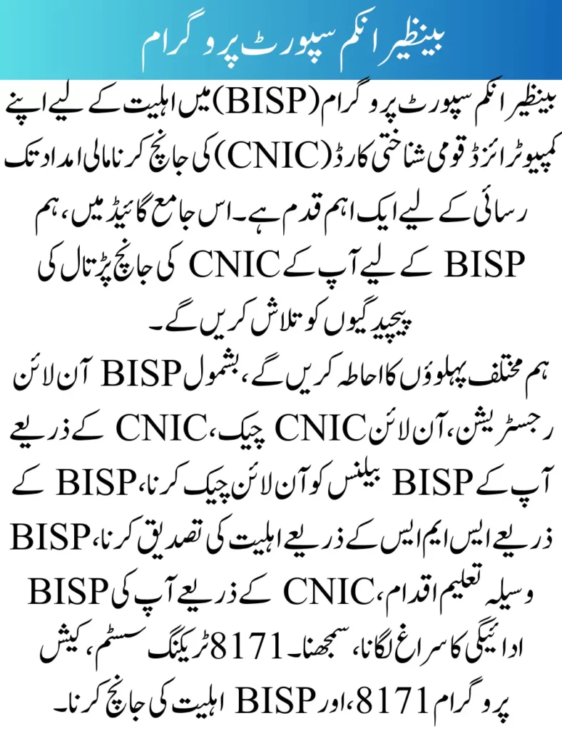 How can I check my CNIC in Benazir Income Assistance 2024